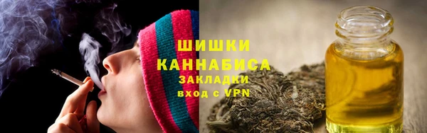 дживик Баксан