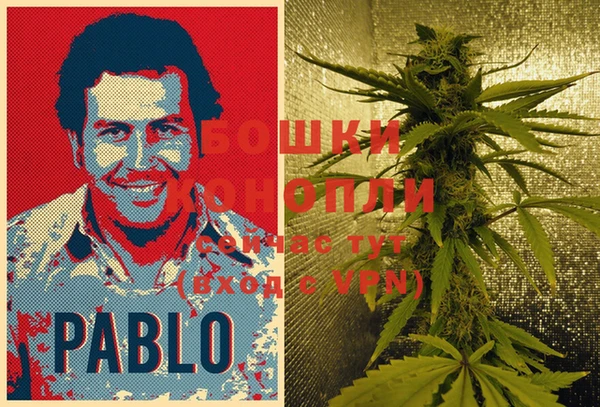 шишки Балахна