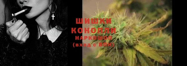 шишки Балахна