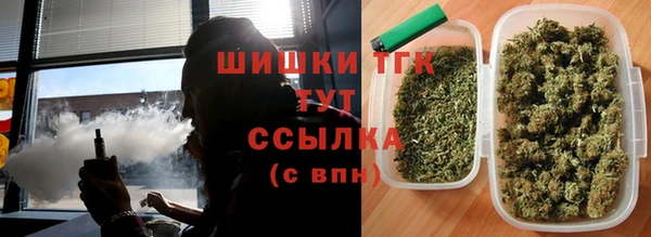 дживик Баксан