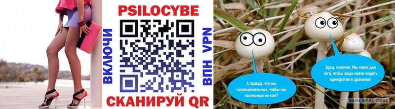 купить наркотик  Бежецк  Псилоцибиновые грибы Psilocybine cubensis 